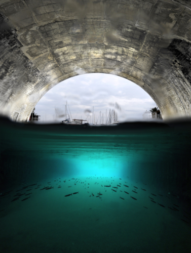 Une vie dans le port